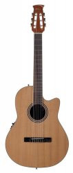 APPLAUSE AB24CII-CED Balladeer Mid Cutaway Nylon Natural Satin