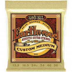 ERNIE BALL 2005