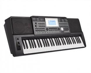 Medeli A810