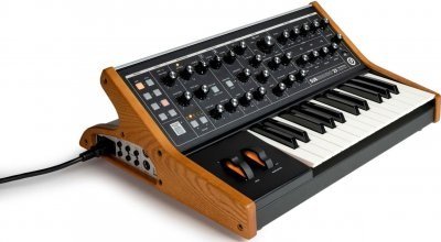 Moog Subsequent 25