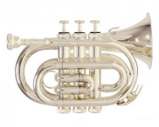 ROY BENSON PT-101S Bb