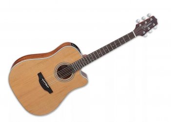 Takamine GD20CE-NS