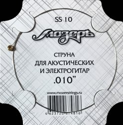  SS 10