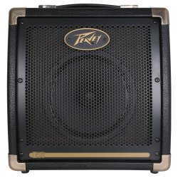 Peavey Ecoustic  E20