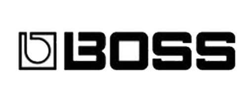 BOSS BOSS